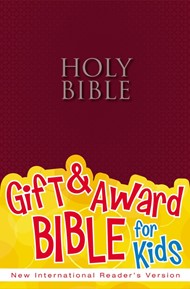 NIRV Gift And Award Bible Burgundy