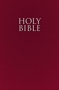 The Holy Bible For Esl Readers (Nirv)