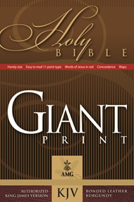 KJV Giant Print Handy-Size Reference Bible