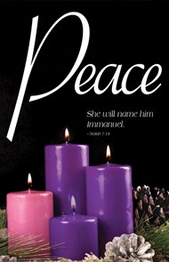 Peace Advent Candle Sunday 4 Bulletin (Pkg of 50)