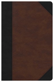 CSB Ultrathin Reference Bible, Black/Tan, Deluxe Edition