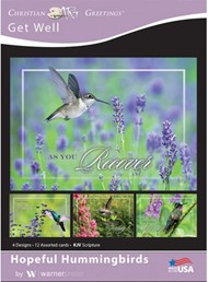 Boxed Card - Hopeful Hummingbirds (pack of 12)