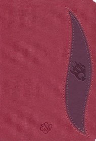 ESV Fire Bible Student Edition, Red