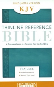 KJV Thinline Bible, Aquamarine