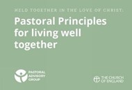 Pastoral Principles Cards
