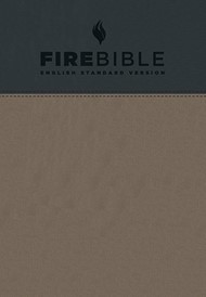 ESV Fire Bible, Gray/Slate