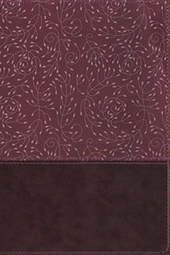 NRSV Large Print Thinline Reference Bible, Burgundy, Indexed