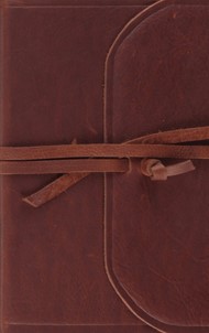 ESV Thinline Bible (Flap With Strap)