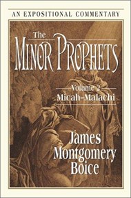 Minor Prophets: Volume 1 - Hosea-Jonah