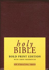 NIV Bold Print Reference Bible Maroon