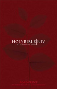 NIV Bold Print Reference Bible with Concordance