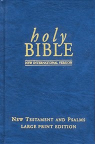 NIV Large Print New Testament and Psalms