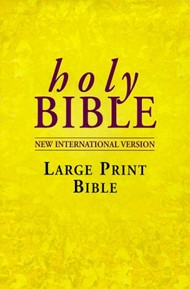 NIV Large Print Bible