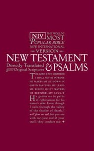 NIV New Testament and Psalms