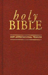 NIV Pocket Bible Brown