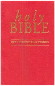 NIV Pocket Bible Red