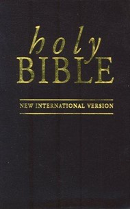 NIV Pocket Bible Brown