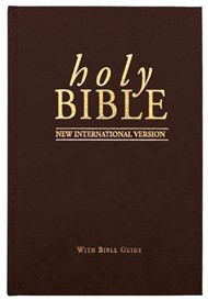 NIV Popular Bible Black