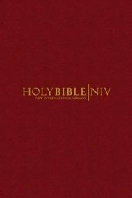 NIV Popular Bible Burgundy