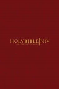 NIV Popular Bible Pack of 20