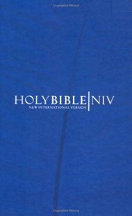 NIV Popular Economy Bible Blue