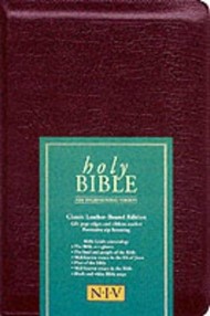 NIV Popular Bible with Zip Black