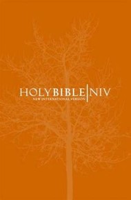 NIV Popular Bible Orange