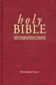 NIV Popular Bible with Guide Red