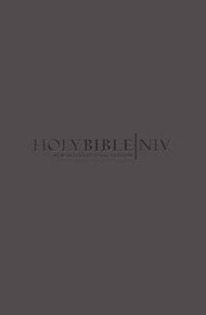 NIV Popular Bible Grey