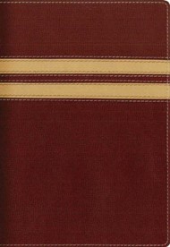 NIV Compact Thinline Bible Burgundy/Cream