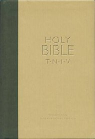 TNIV Personal Bible Soft-Tone Green/Gold