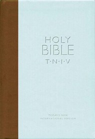 TNIV Personal Bible Soft-Tone Blue/Brown