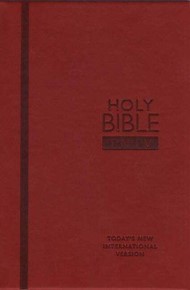 TNIV Personal Bible Soft-Tone Berry