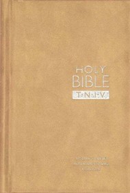 TNIV Personal Bible Suedel/Oatmeal