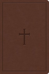 KJV Study Bible, Personal Size, Brown