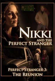 Nikki and the Perfect Stranger DVD