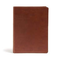 CSB Holy Land Illustrated Bible, British Tan LeatherTouch