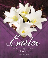 You are Looking for Jesus Easter Bulletin Lgl (pack of 100)