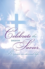 Celebrate the Risen Savior Easter Bulletin (pack of 100)