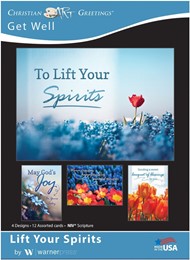 Boxed Cards - Life Your Spirits Get Well (pack of 12)
