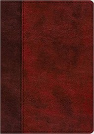 ESV Study Bible (TruTone, Burgundy/Red, Timeless Design