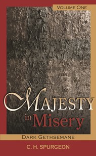 Majesty In Misery Vol1 H/b