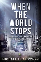 When the World Stops (Paperback)