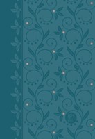 Passion Translation NT 2020 Edition, Teal, Compact (Imitation Leather)