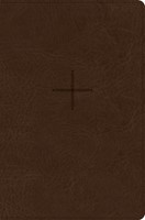 CSB Every Day with Jesus Daily Bible, Brown (Imitation Leather)