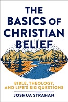 The Basics of Christian Belief (Paperback)