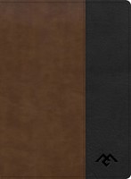 CSB Men of Character Bible, Brown/Black, Indexed (Imitation Leather)