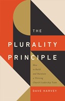 The Plurality Principle (Paperback)