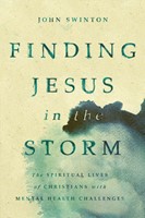 Finding Jesus in the Storm (Paperback)