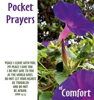 Pocket Prayers of Comfort (Booklet)